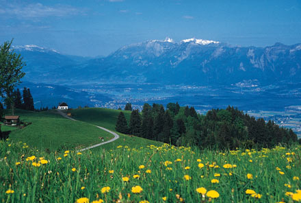 Aussicht auf das Rheintal