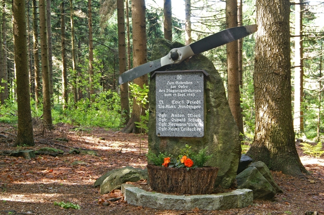Flugzeugabsturzstelle beim Jagabild