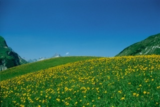 11 Karbühel - Aus den Flammen klang...