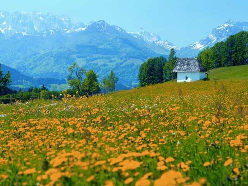 Blick aufs Kaisergebirge