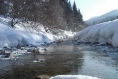 Der Neubach im Winter