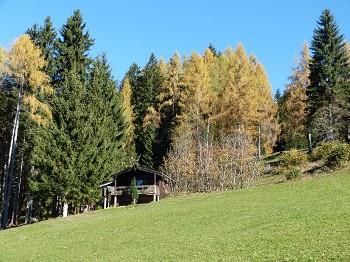 Hütte von vorne im Sommer