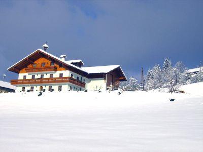 Appartment Brandstatthof1