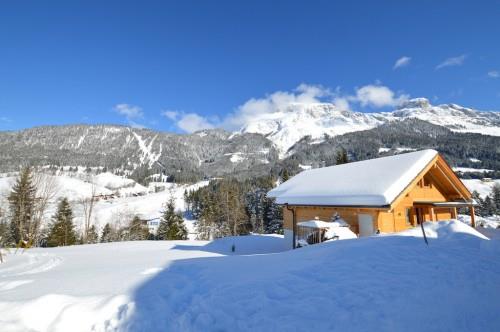 Chalet Winter