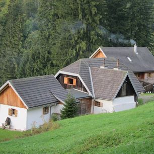 Wildniscamp im Holzgraben