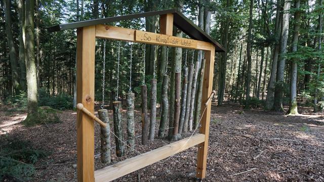 Waldschule - Waldxylophon