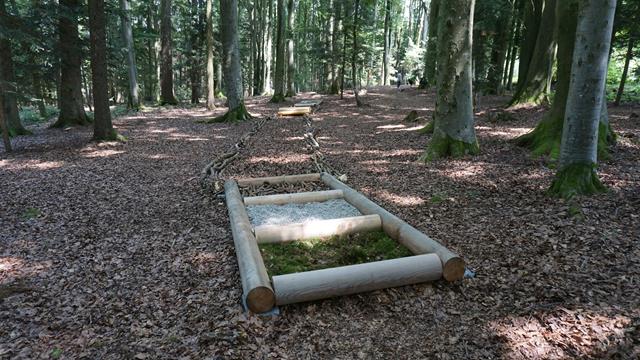 Waldschule - Barfußweg