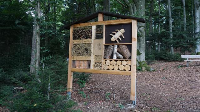 Waldschule - Insektenhotel