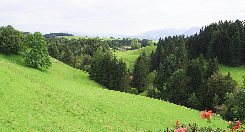 Viel Grün und tolle Wälder für Familien-Ausflüge