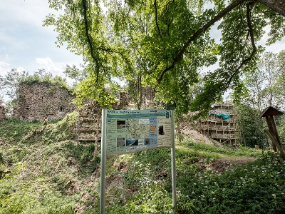 Burgruine Falkenstein