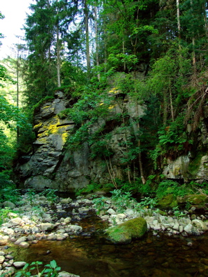 Felsen mit Schwefelflechten
