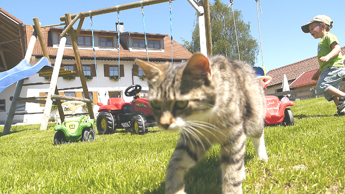 Unser Garten, Spielplatz...