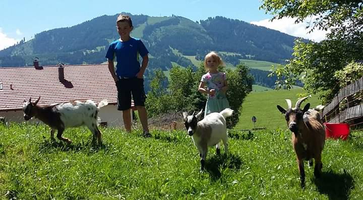 fb_img_1553293256407