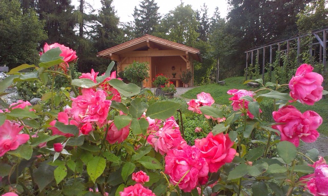 Hildegard von Bingen Garten