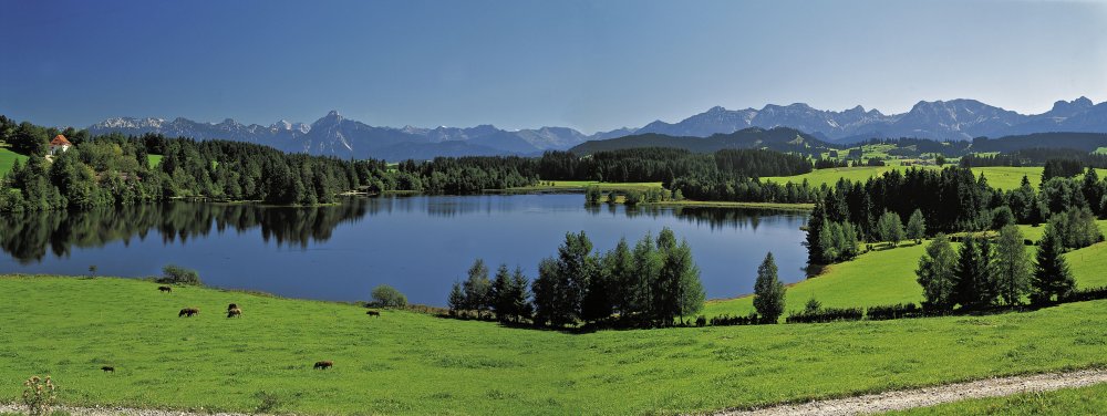 Schwaltenweiher