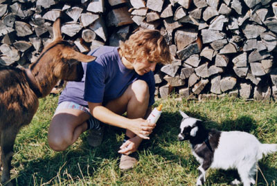 Vielleicht haben wir wieder ein kleines Zicklein, wenn ihr zu uns kommt