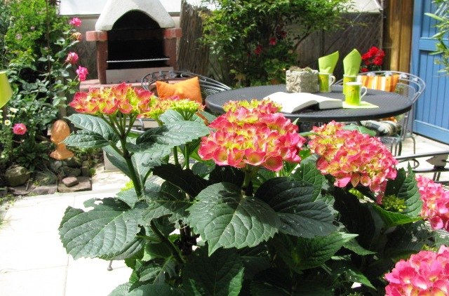 Sonnenterrasse, gemeinsamer Garten zum Austauschen, Spielen und für gesellige Grillabende