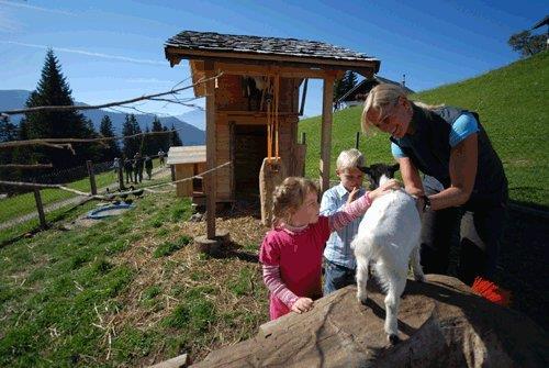 Kinder streicheln Ziegen