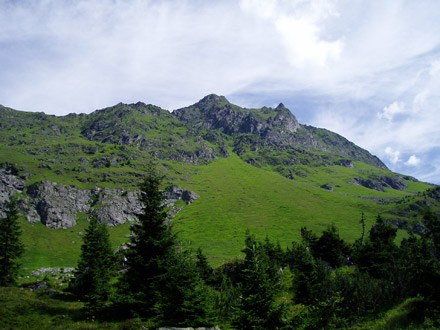 Bergmahdgebiet