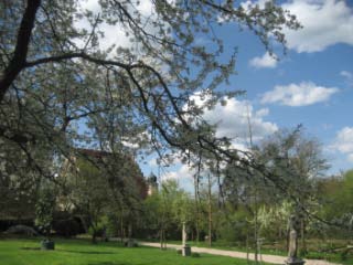 Hotel Schloss Eggersberg, Frühling im Schlosspark