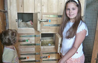 Hühnernester jede Wohnung hat sein eigenes