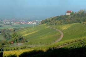 Burg Hoheneck mit Ipsheimer Weinlage