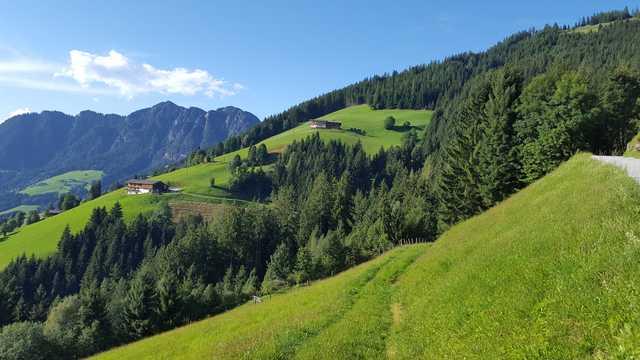 Blick vom Oberen Höhenweg