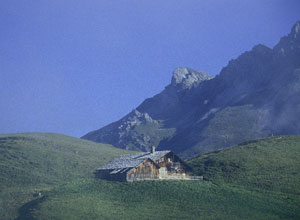 07 Gaisbühel-Alpe 1