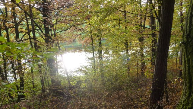 Immer wieder begleiten uns auf der Wanderung die Teiche