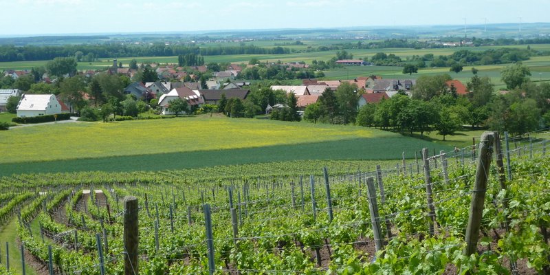 Blick vom Eulenberg nach Michelau