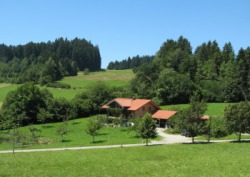 Eingebettet in die Landschaft: Unser Ferienhaus