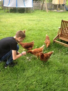 Hühner füttern macht Spaß!