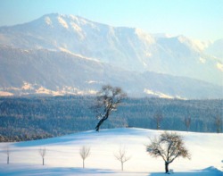 Unser Hausberg, der Grünten