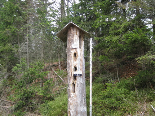 Schneehöhen-Meßlatte