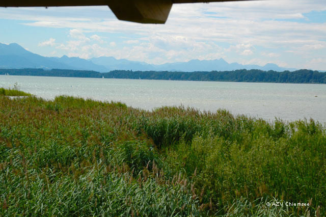 Blick auf den See vom Beobachtungsturm Seebruck.