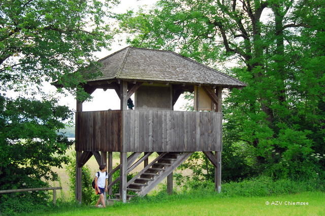 Aussichtsturm Hagenau in einer kleinen Baumschneise.