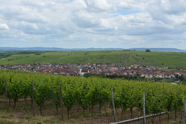Blick von Aussichtsplattform &quot;terroir f&quot; bei Volkach auf Escherndorf