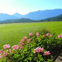 Gästehaus - Café Habersetzer