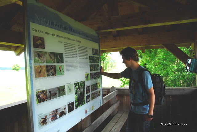 Die Übersichtstafel im Turm informiert über die gängigen Vogelarten, die vom Turm aus beobachtet werden können.