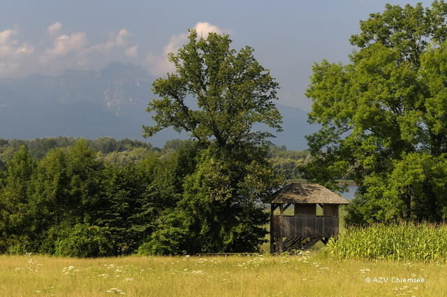 Blick auf den herrlich gelegenen Aussichtsturm.