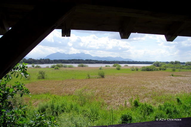 Chiemseeblick vom Aussichtsturm aus.