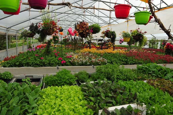 Gärtnerei Herzogsägmühle