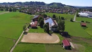 Reiten in Peiting