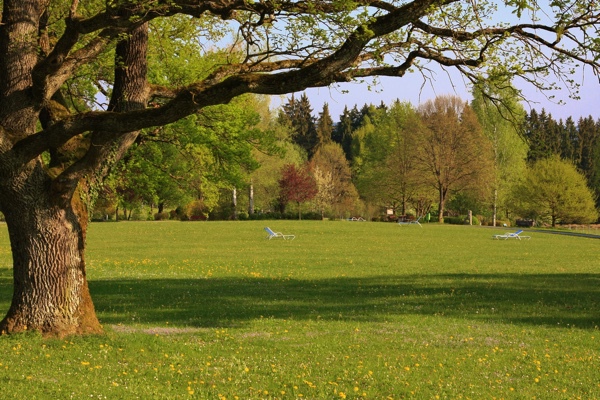 Parkanlage Höhenried