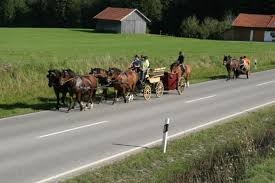 Kutschfahrten Peißenberg