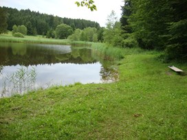 Ettinger Weiher