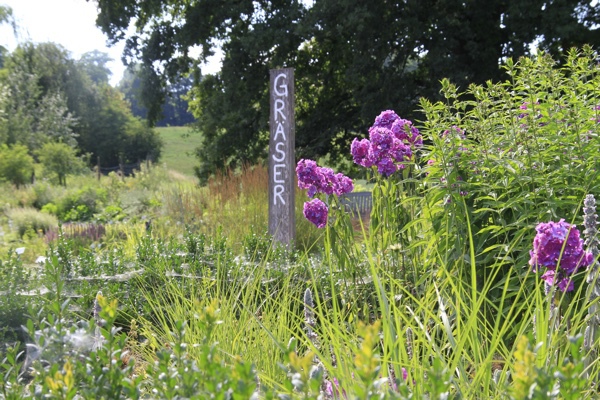 Staudengärtnerei Spatz und Frank