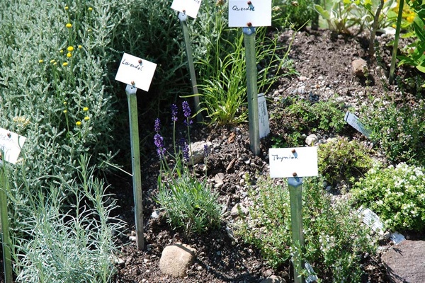 Energiegarten Elveden