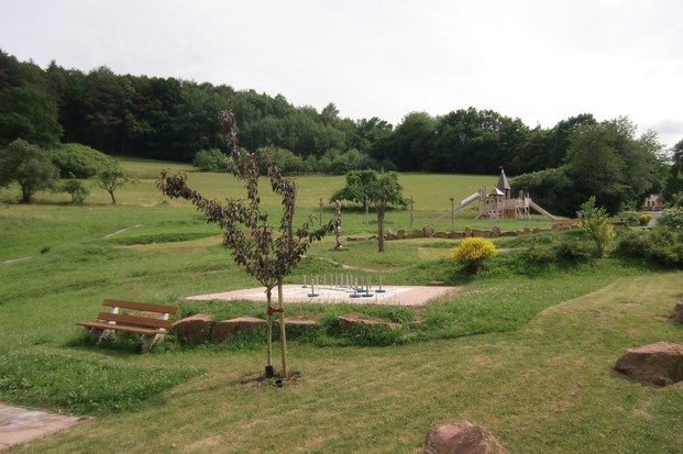 Mountainbikeparcour und Spielplatz Dammbach