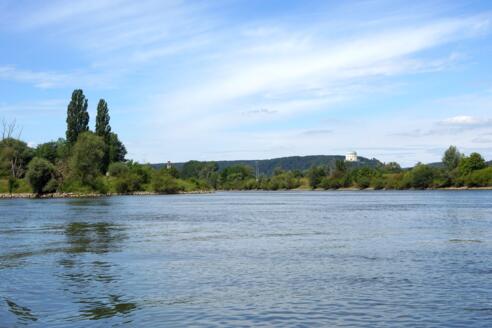 Bootswandern auf der Donau in Kelheim